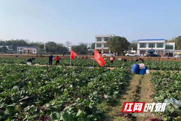 图片3 (29).jpg