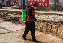 双峰甘棠镇西龙坪村:党员带头织“防疫网”