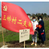 汨罗川山坪镇：让党旗高高飘扬，让党徽闪闪发亮