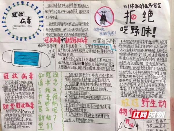 当前，新型冠状病毒感染肺炎疫情防控工作正处于攻坚克难的关键时期，疫情的发展牵动着全国人民的心，湖南省安江二完小师生们通过手绘疫情宣传简报向身边人传递抗击疫情的正确方式。