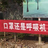 陆城镇：“硬核”标语接地气 “土味”宣传入人心
