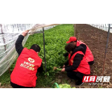抗疫一线｜邵阳市北塔区：疫情无情  红马甲暖心