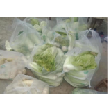 冷水滩：疫情当前有大爱 2500斤“爱心蔬菜”赠乡亲
