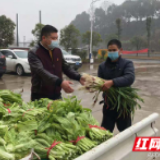 暖心！桃江桃花江镇一夫妻300斤蔬菜免费赠乡民