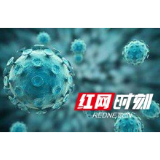 湘西州税务局：90后的“抗疫”请战书