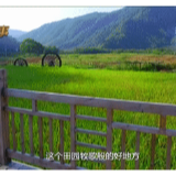 习近平讲述的故事|“中国扶贫第一村”脱贫记