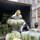拼多多100吨蔬果直送武汉4家医院食堂 保障4600名医护一个月所需