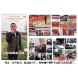 安乡安康乡：打“组合拳 ”、奏“交响乐”新思维促宣传