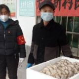 24箱凤尾菇 这是抗疫一线背后的力量