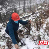 国网邵阳隆回县供电公司 雪中巡线保障供电