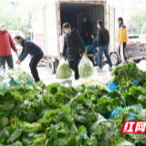 抗疫时期，“益”路有你 