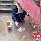 茶陵中心收费站有个“唠叨能干婆”