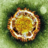 青海新增2例确诊病例，累计确诊17例