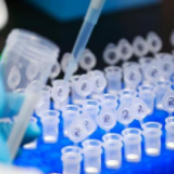 广东新增73例确诊病例，累计870例