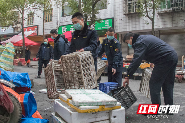 执法人员在清除占道搭棚。