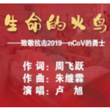 武冈原创音乐《生命的火鸟》