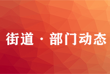 安乡梅家洲村：党旗高扬在红色老区的防疫一线