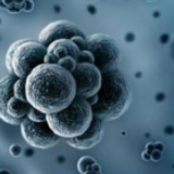 第五版诊疗方案有三大变化