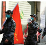 民兵突击队吹响战“疫”集结号