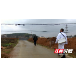致敬！奋战在疫情防控第一线的武冈村级医生