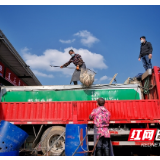 “菜篮子”稳！水渡河市场肉品水产蔬菜门店陆续开业