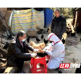 城步畜牧局党支部:让党旗飘扬在防控一线