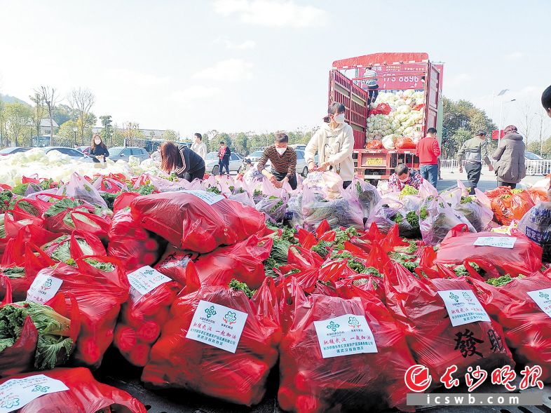 　　志愿者将采摘来的蔬菜打包装车，准备发往武汉。长沙晚报全媒体记者 朱华 摄