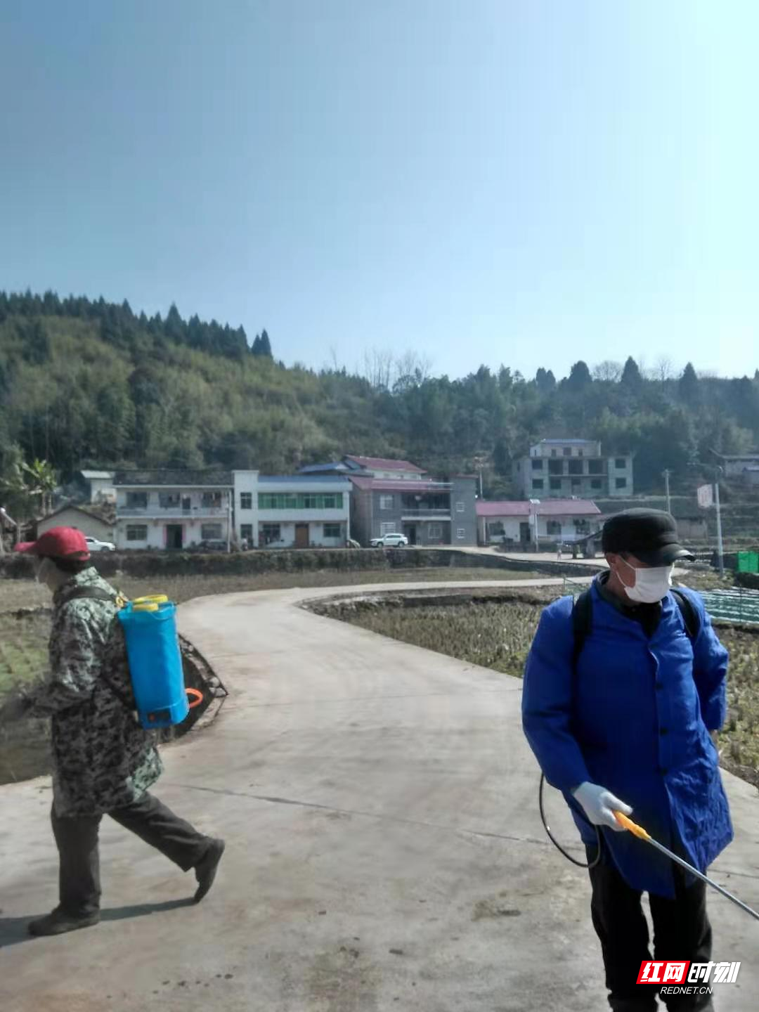 微信图片_202002041823303.jpg