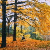 沅江市路政员创作抗“疫”歌曲 致敬最美逆行者