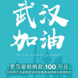同舟共济 罗莎蛋糕捐款100万元助力疫情防控