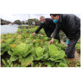 冷水滩区气象局：农气服务走进田间地头 助力疫情防控