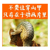 重大发现！华南农业大学：穿山甲为新型冠状病毒潜在中间宿主