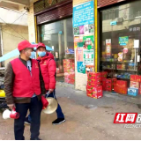 新邵大新镇：守护家乡的一队队“红马甲”