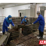 零陵区委统战部：当好民营企业“生产”“防疫”两不误的“娘家人”