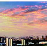 61家企业复工复产物资充足价格稳定