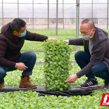 临武：疫情防控、春耕生产“两不误”