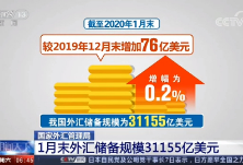 国家外汇管理局：1月末外汇储备规模31155亿美元