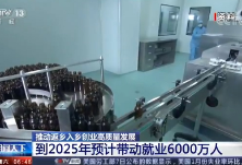 推动返乡入乡创业高质量发展 到2025年预计带动就业6000万人