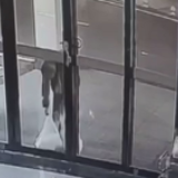 视频丨暖心！南县南洲镇：元宵节的匿名温暖