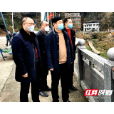 隆回： 战“疫”“ 创森”两不误  植树造林正当时 
