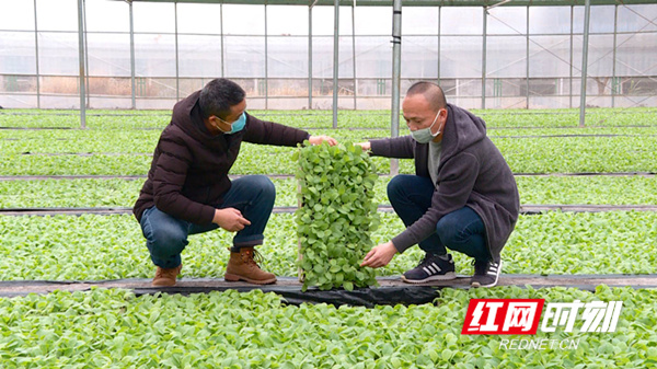 2abe9967-b88c-4951-9669-53a397c52ee6_??.jpg 2abe9967-b88c-4951-9669-53a397c52ee6_??.jpg