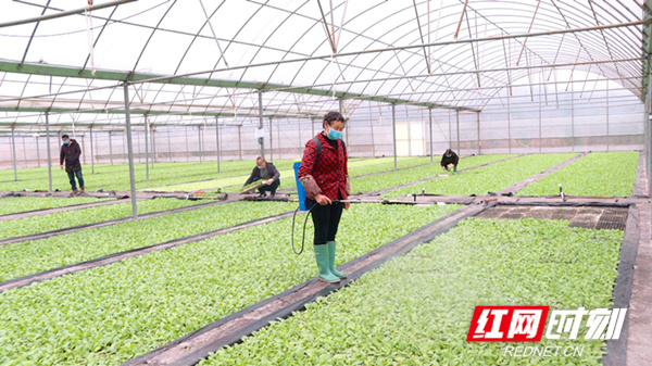 3c03846a-0876-43b8-a2af-7bacbaca5618_??.jpg 3c03846a-0876-43b8-a2af-7bacbaca5618_??.jpg