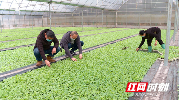 2d39ec7e-6ac7-4133-bbde-286962f7e580_??.jpg 2d39ec7e-6ac7-4133-bbde-286962f7e580_??.jpg