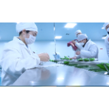 劲牌捐赠1.17亿元  支援湖北抗击疫情