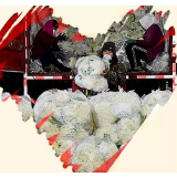 我愿献出这颗心，它是……