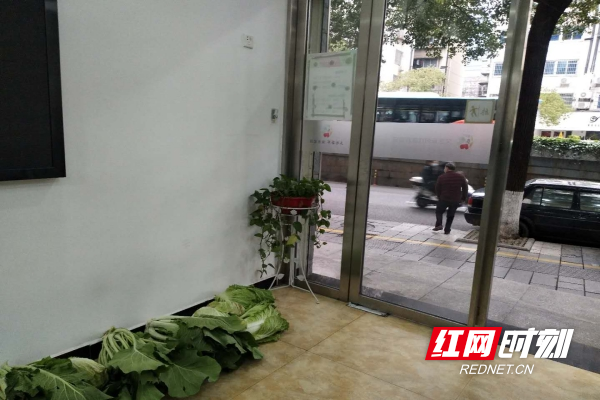 IMG_8182(20200210-112825).jpg IMG_8182(20200210-112825).jpg