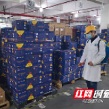 10万补贴送上门 隆平高科技园“硬核”7条助复工