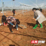 汝城：疫情防控不忘农业生产