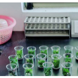 有这样的农产品“大后方” 请长沙人民放心吃 吃放心