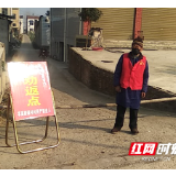 桃源：奋楫中流，疫情漩涡里的红色力量